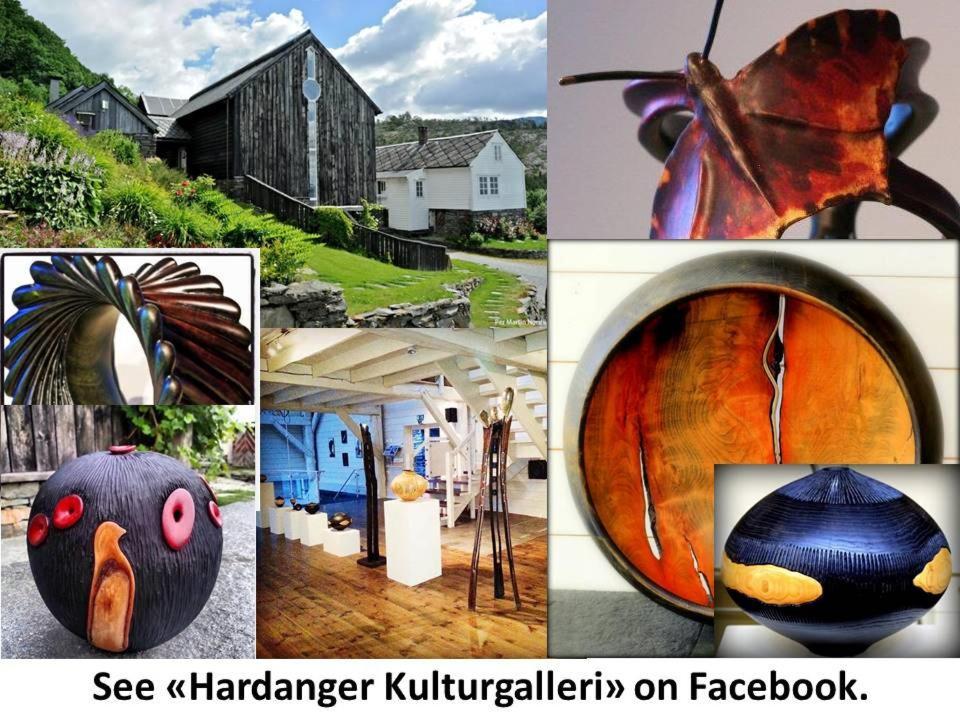 Apartment In Herand, Hardanger Exteriér fotografie